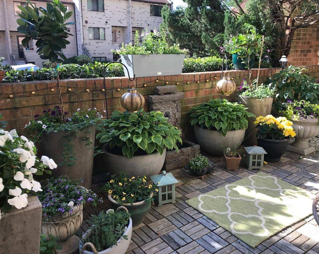 small backyard patios with plants 