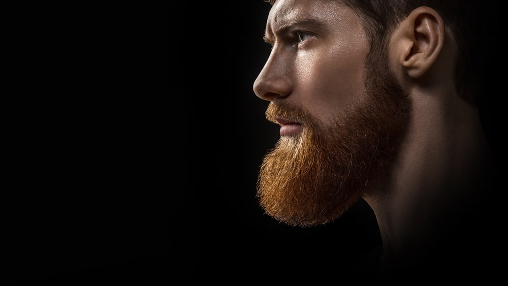 5 Best Beard Straighteners