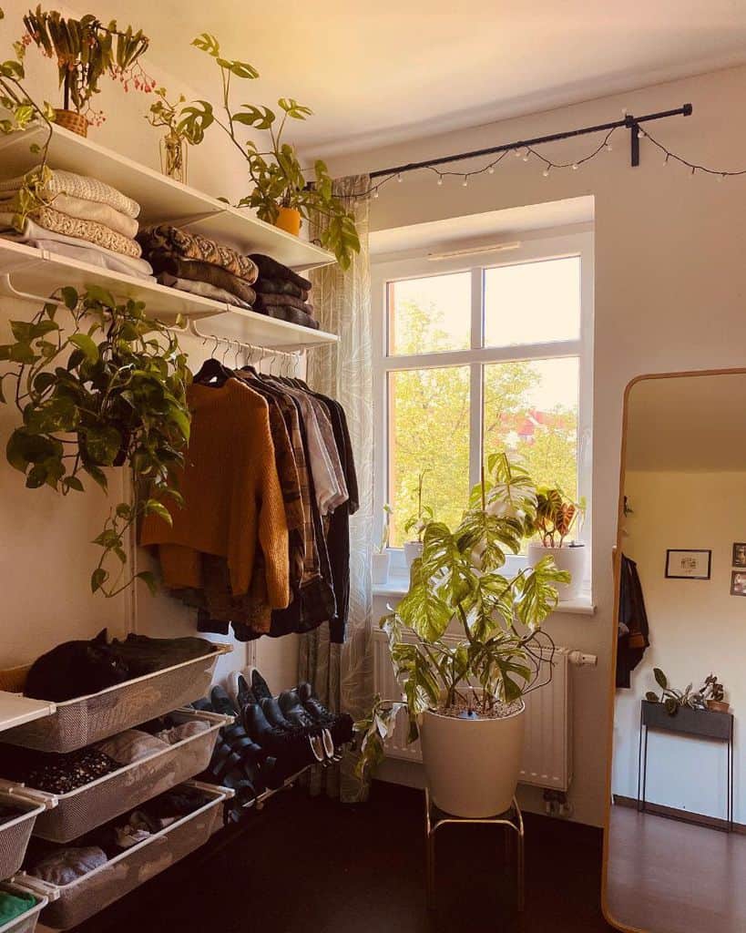 Open closet with hanging rack, shelving, shoe storage, and potted plants.