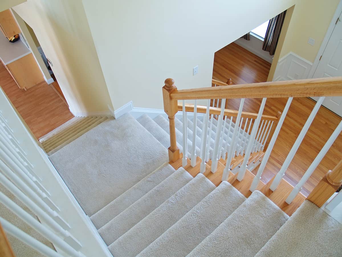 Carpeted staircase with wooden handrail leading to a hardwood-floored hallway.