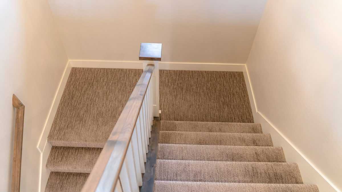 Top view of beige carpeted stairs with a wooden handrail and landing area.