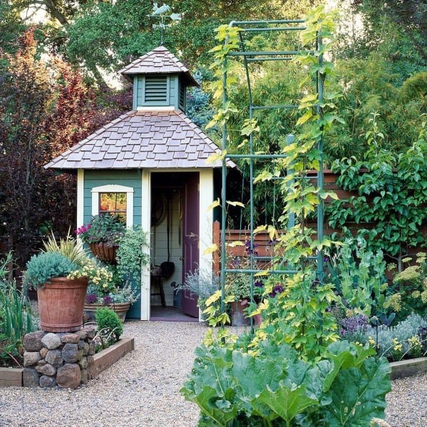 Charming cottage-style garden shed with a cupola, surrounded by lush plants and garden tools.