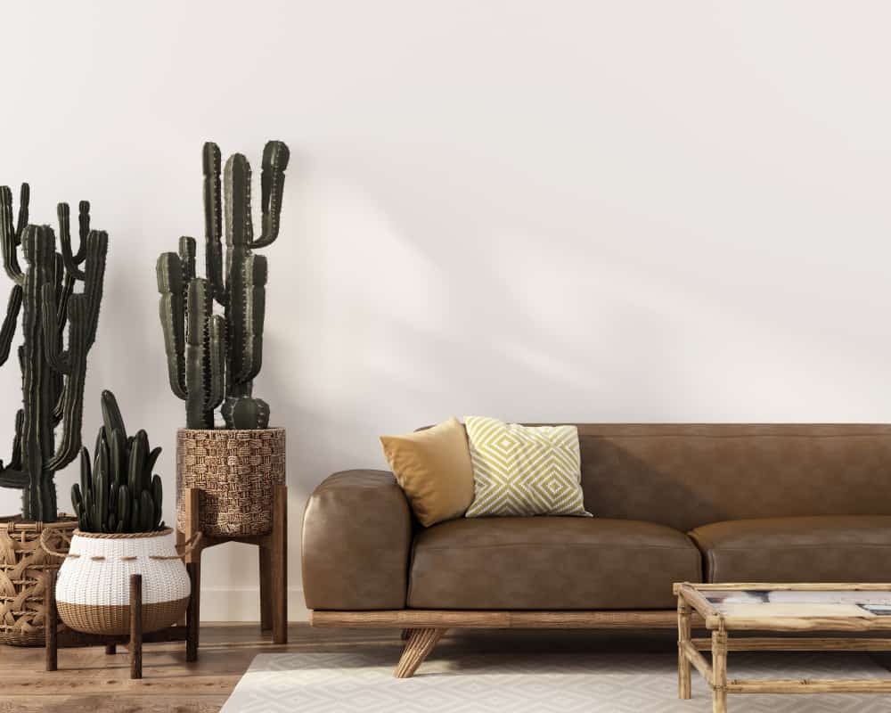 Minimalist living room with a cozy brown sofa, accent pillows, potted cacti, and a small coffee table