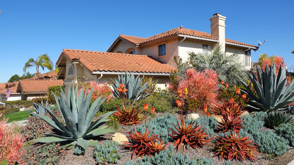 Creative Desert Landscaping Ideas