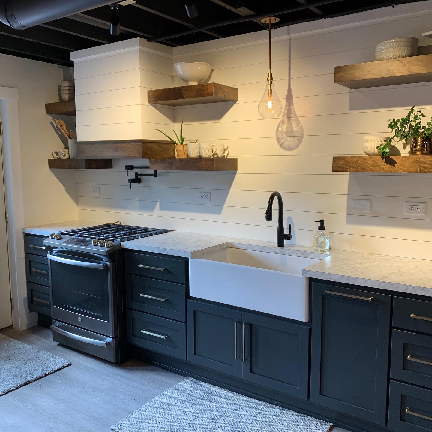 Kitchen with dark cabinets, farmhouse sink, floating shelves, and potted plants for decor.