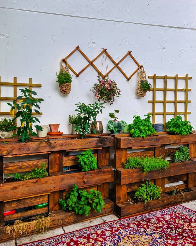 wood pallet garden hanging wall plants