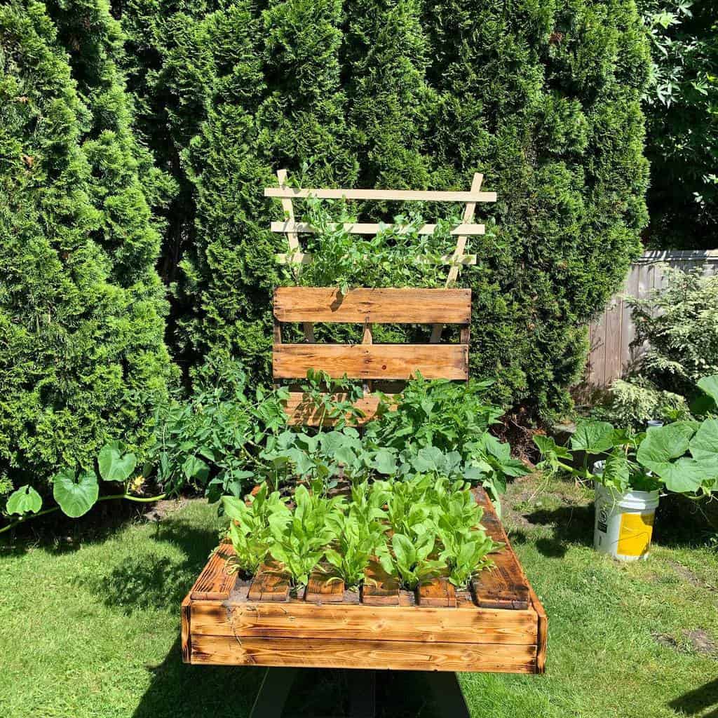 planter box garden 