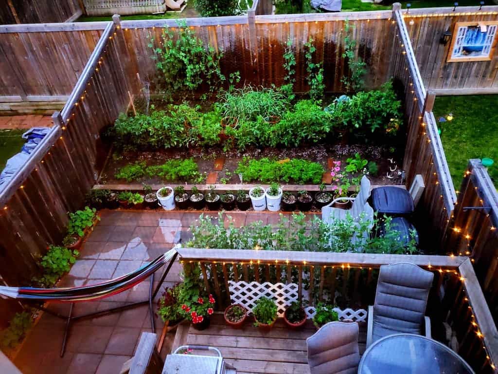 small backyard garden with paver patio and hammock 