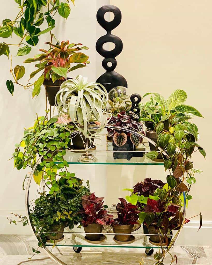 Round glass bar cart filled with various potted plants and modern black sculptures.