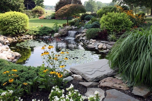 Stone-lined pond with water lilies, waterfall, and surrounding vibrant plants in a serene garden.