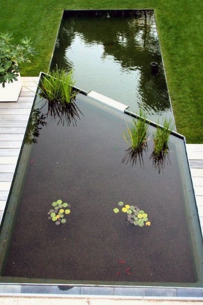 Modern rectangular pond with aquatic plants and clear water, surrounded by a neatly trimmed lawn.