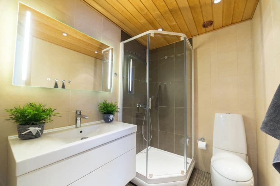 Innovative Solutions for Maximizing Small Shower Spaces