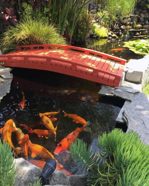 Small red wooden bridge over a koi pond, surrounded by lush plants and natural stone landscaping.