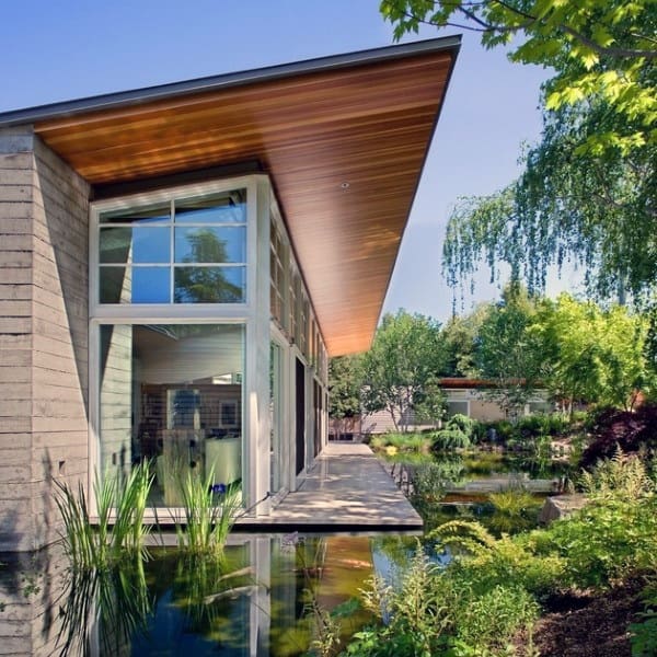 Modern house with a wrap-around pond featuring aquatic plants and lush garden landscaping.