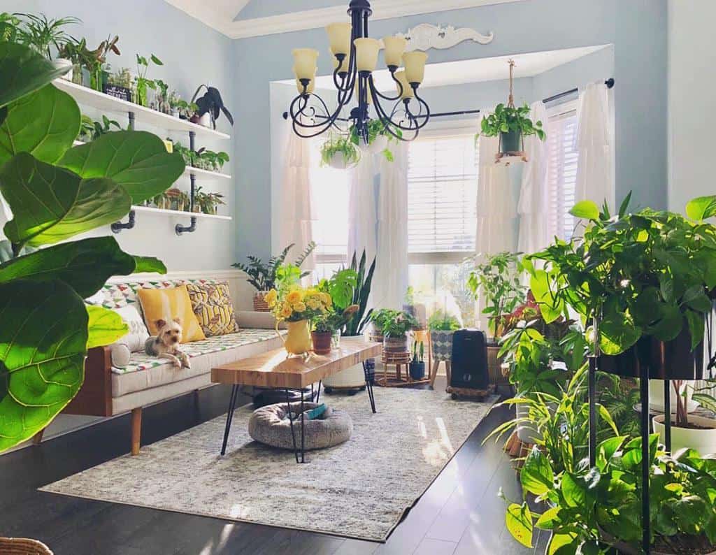 Bright sunroom with indoor plants, cozy seating, chandelier, and a small dog on the sofa.