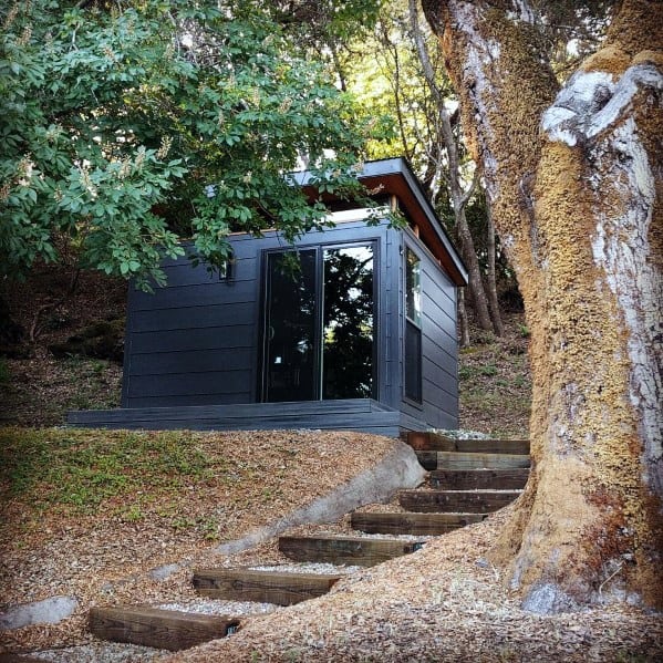 Modern black box-style shed with glass doors, located on a hillside with wooden steps.