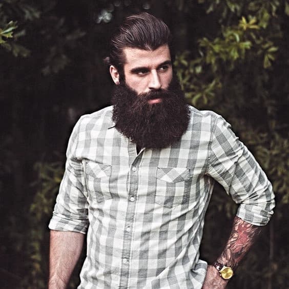 Man Big Beard Style