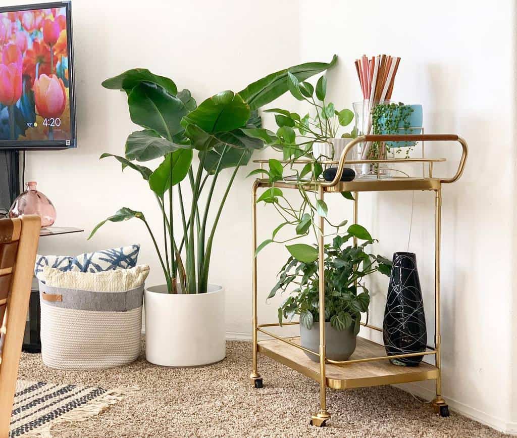 Gold-plated bar cart with houseplants, vases, and decorative items next to a large potted plant.