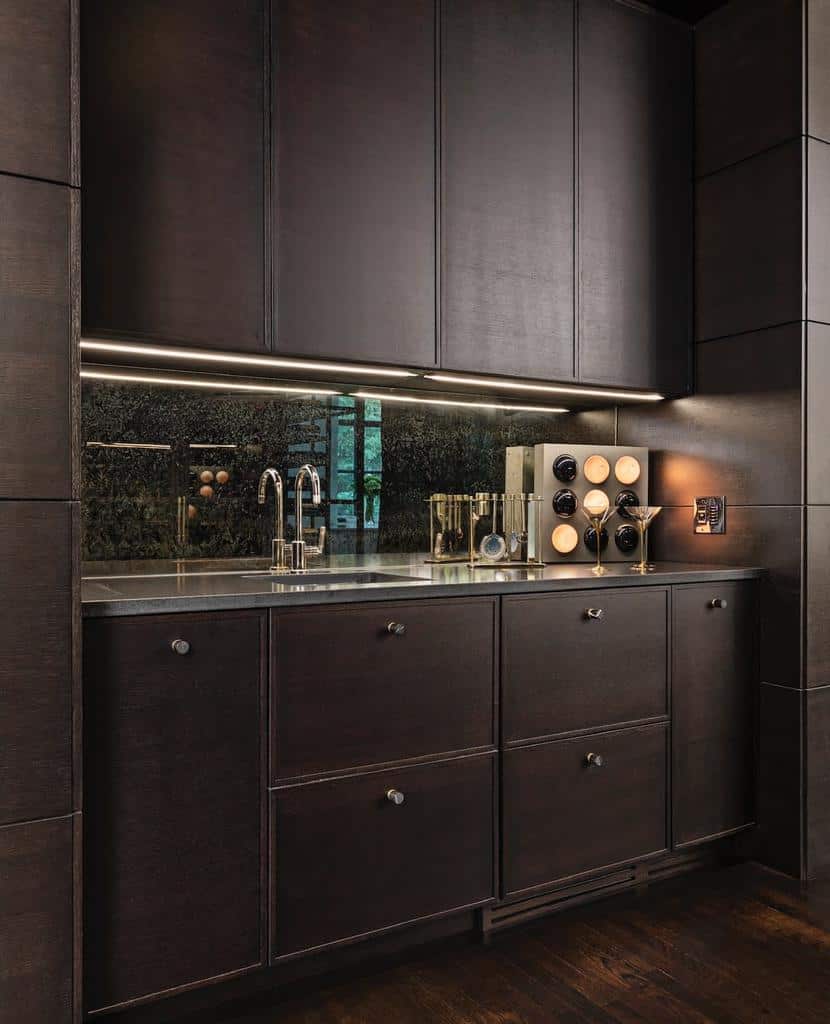 modern mahogany butler's pantry wet bar