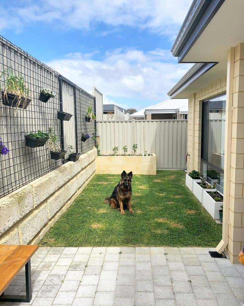 small modern backyard garden with lawn and paver patio 