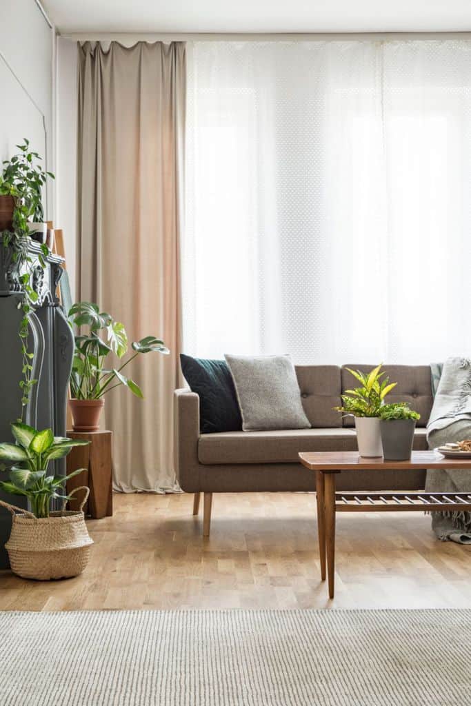 boho living room with gray sofa and plants 