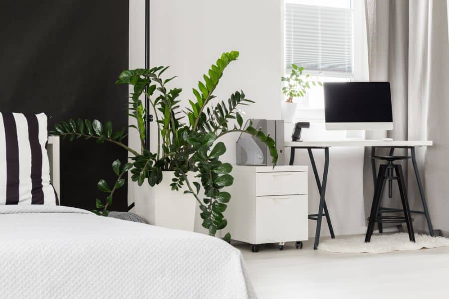 Innovative Ideas for Designing a Functional Bedroom Office