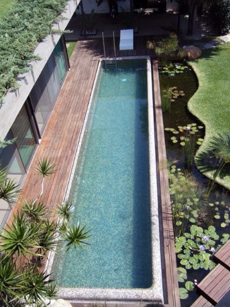 Long rectangular swimming pool with adjacent pond featuring water lilies, surrounded by wood decking.