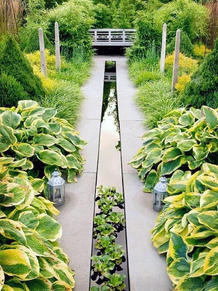 Backyard rill pond with aquatic plants, surrounded by lush greenery, leading to a small wooden bridge.