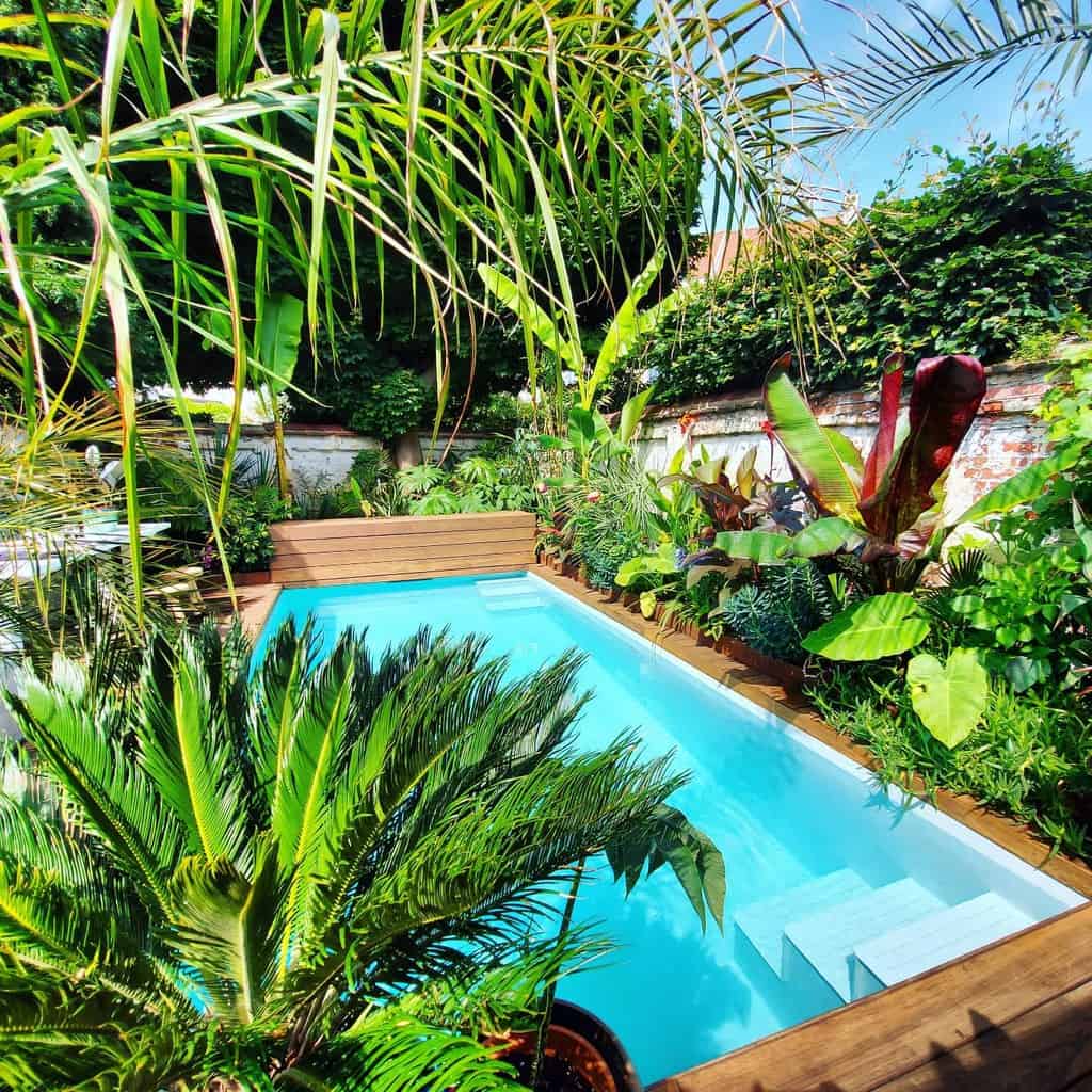 small backyard with pool and tropical plants 