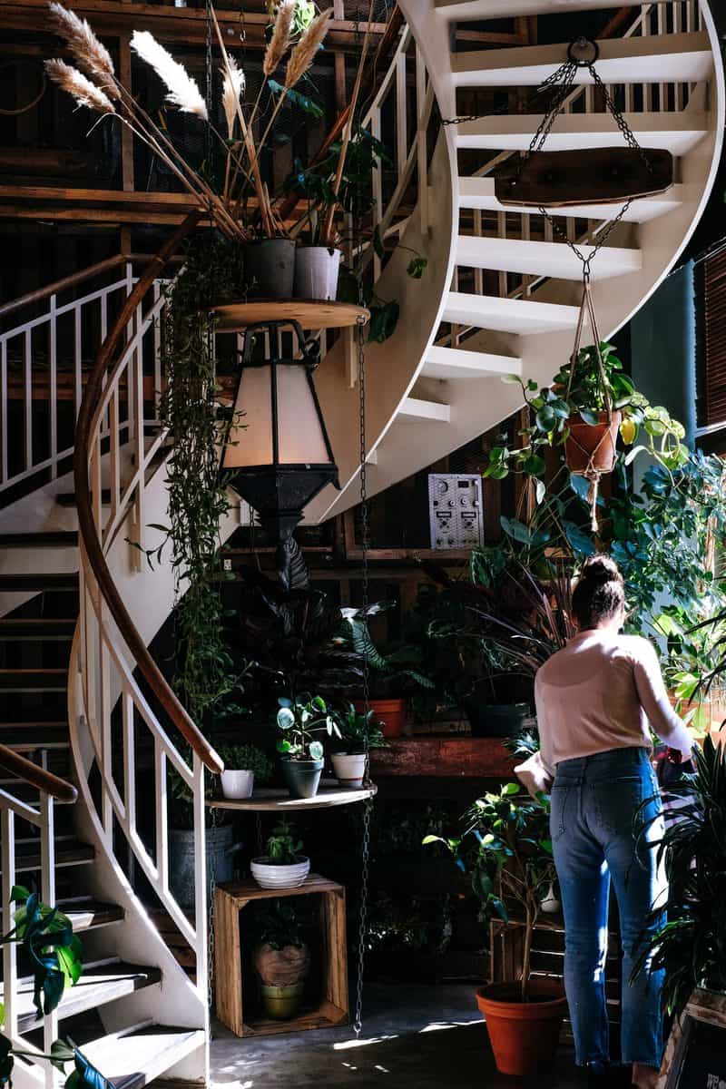 curved white rustic staircase 