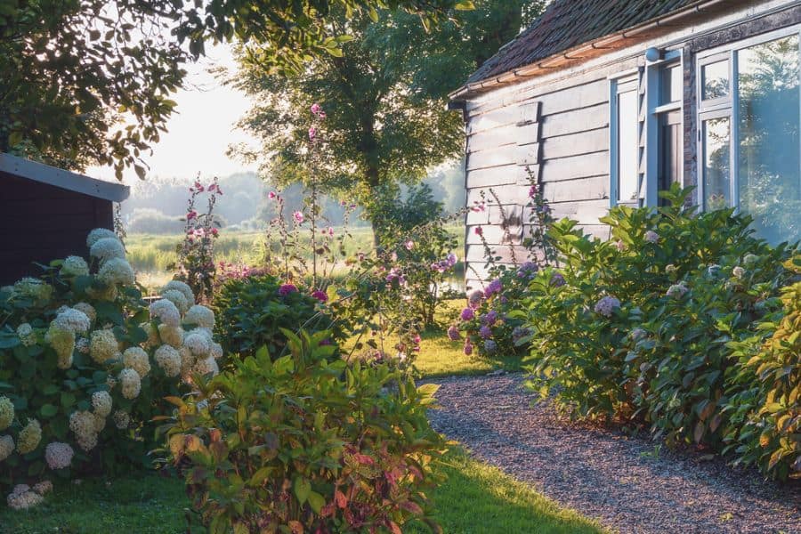 Creative Shade Garden Ideas for Refreshing Cool Spaces