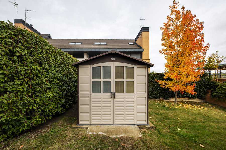 Small backyard shed with double doors and large windows, surrounded by greenery.