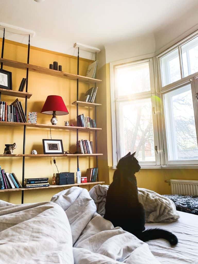 Cozy bedroom with yellow wall, high ceiling shelves, and a black cat by the window.