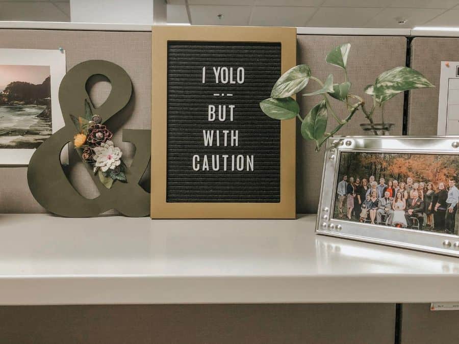 Unique Cubicle Decorations for a Motivating Work Environment