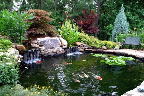 Natural koi pond with a rock waterfall, aquatic plants, and vibrant greenery in a lush garden.