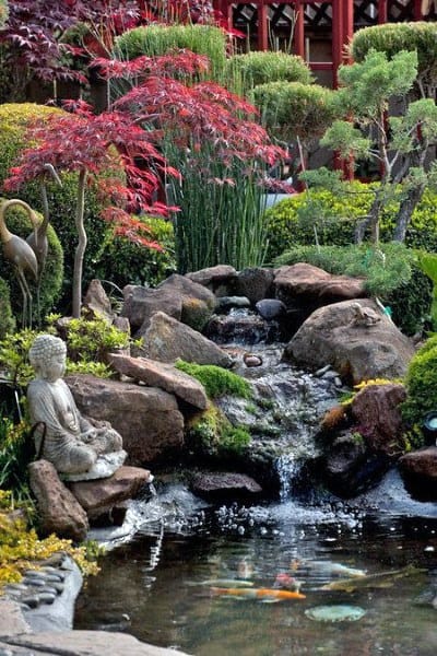 Ecosystem pond with a cascading waterfall, koi fish, a Buddha statue, and surrounded by lush, vibrant greenery.