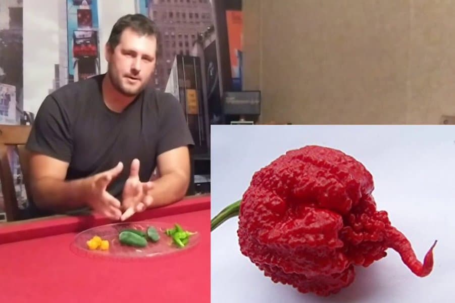 What Is the Hottest Pepper in the World? Here Are 10 of the Spiciest