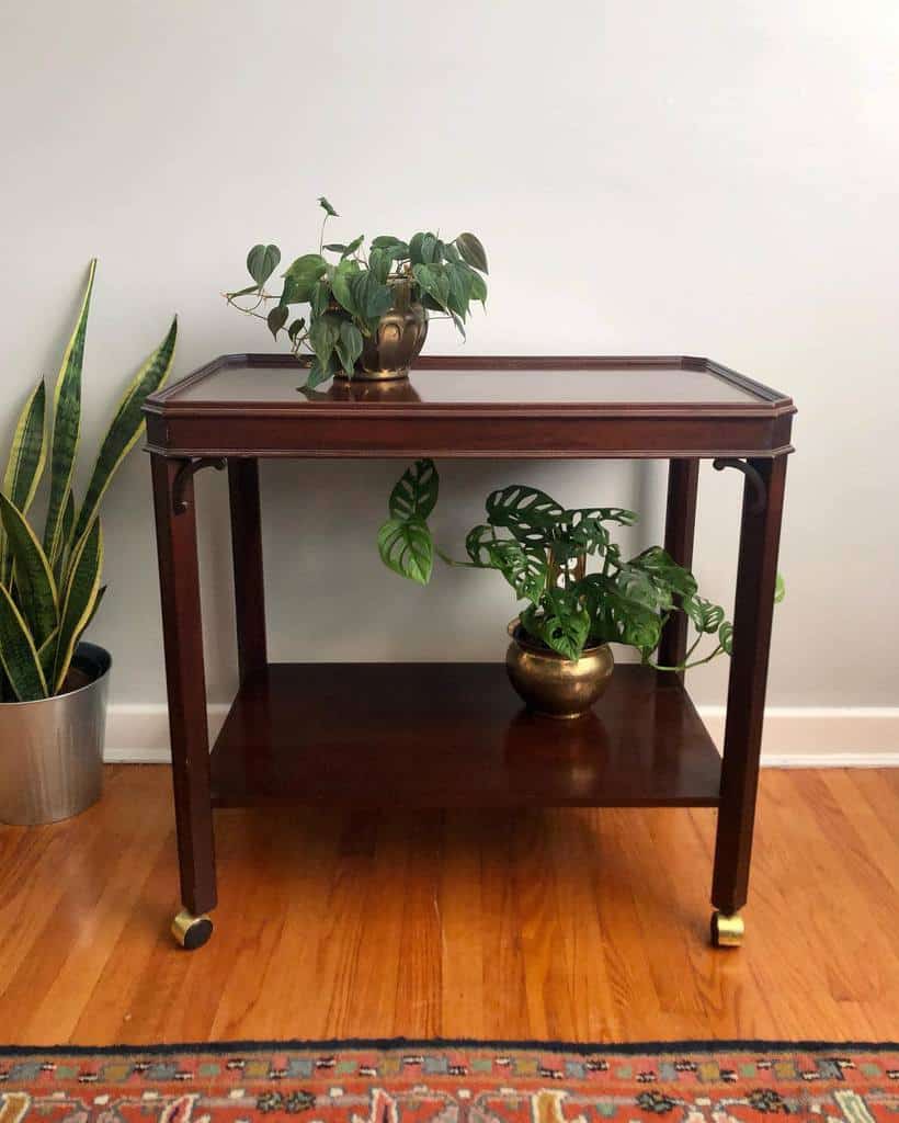 Simple wooden bar cart with two shelves, holding potted plants, in a minimalist room setting.