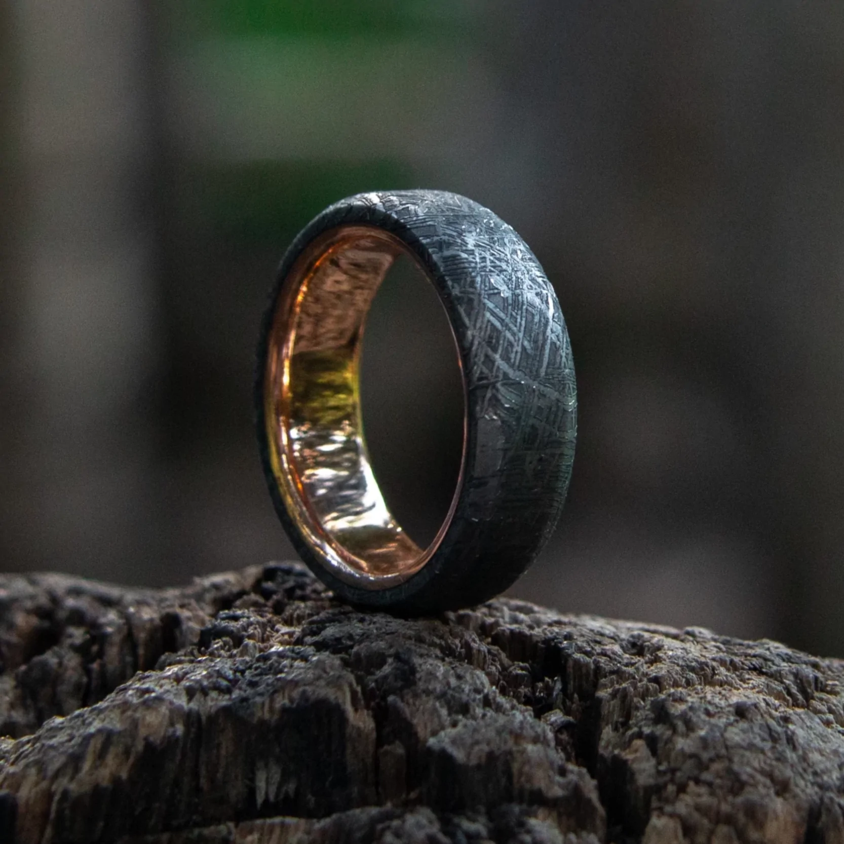 Patrick Adair Meteorite Rings